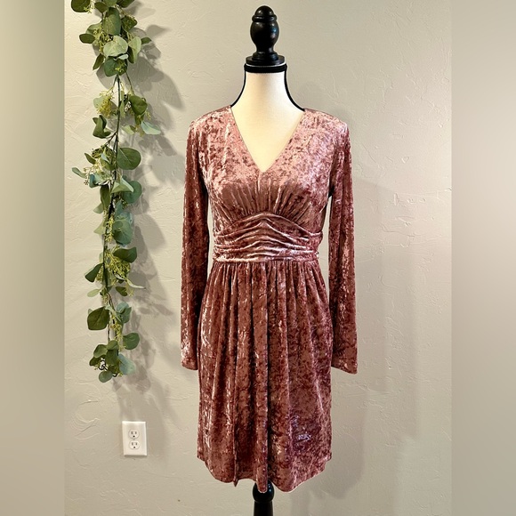 Violets & Roses Crushed Velvet Dress - Picture 1 of 6